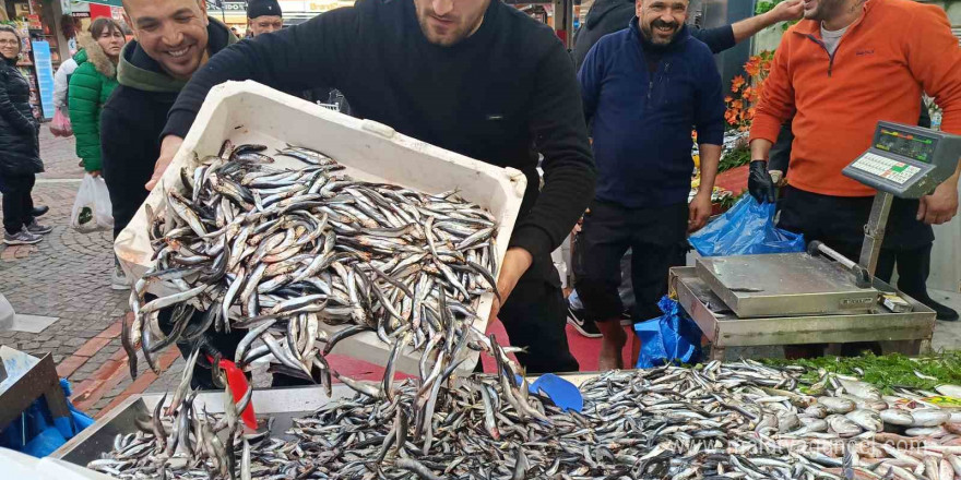 Edirne’de hamsi bolluğu: Kilosu 100 liraya düştü