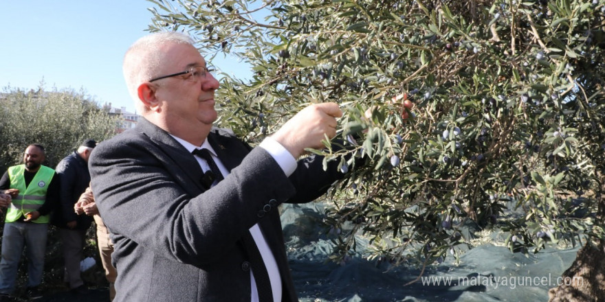 Edremit Belediye Başkanı Mehmet Ertaş “Tek bir zeytin tanesi heba olmuyor”