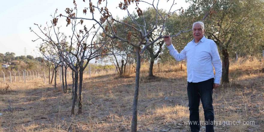 Ege’de kuraklık alarmı