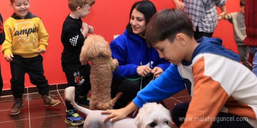 Eğitimli köpekler ile engelliler gününde farkındalık