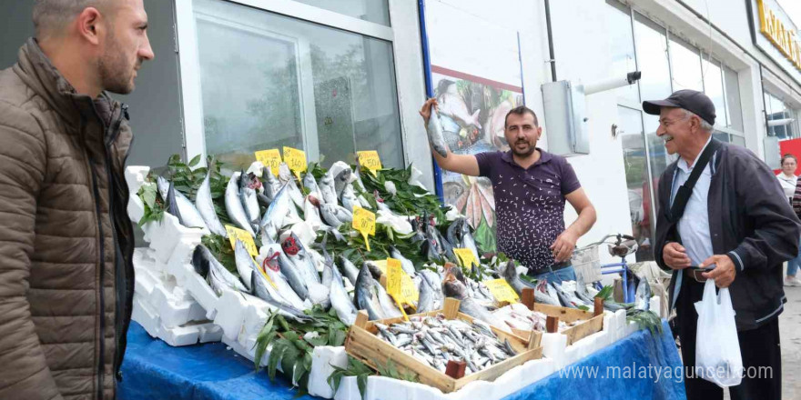 Ekim ayında hangi balıklar yenir?