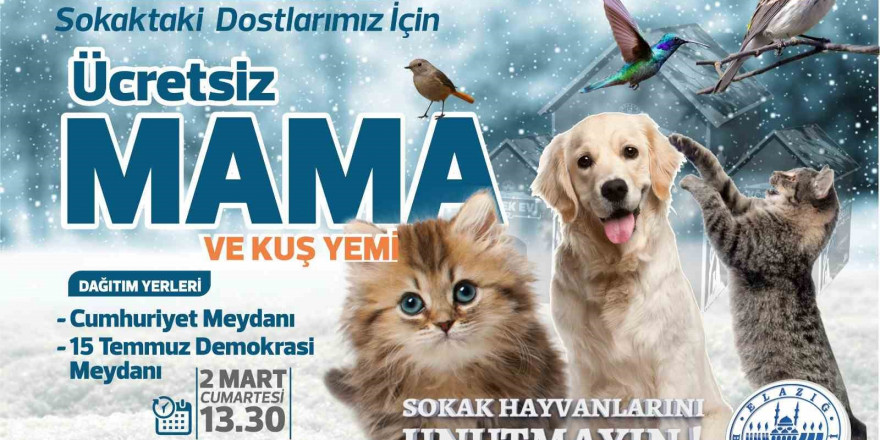 Elazığ Belediyesi ücretsiz mama ve kuş yemi dağıtacak