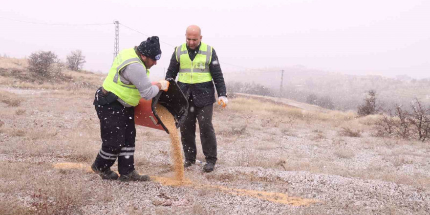 Elazığ Belediyesi yaban ve sokak hayvanları için çalışma başlattı