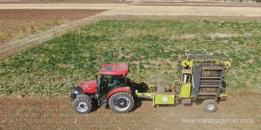 Elazığ’da 37 bin dönüm alanda pancar hasadı başladı