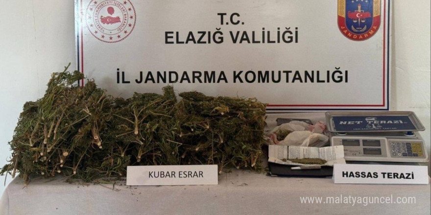 Elazığ’da evde 3 kilo 200 gram esrar ele geçirildi: 1 gözaltı