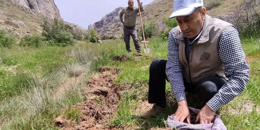 Elazığ’da kaçak salep soğanı toplayan 26 kişiye 2 milyon 964 bin lira ceza