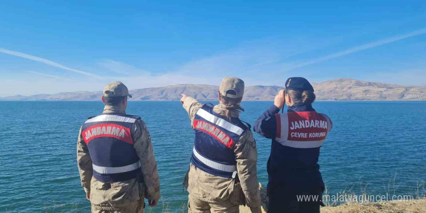 Elazığ’da ot yangınını jandarma ekipleri söndürdü