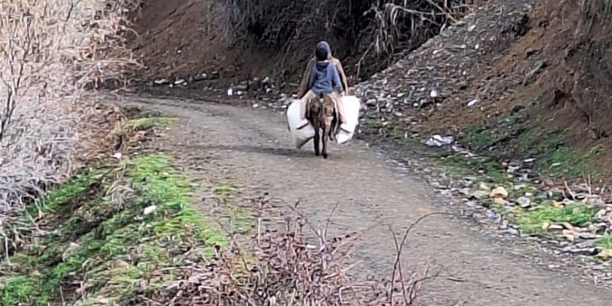 Elazığ’da selde çöken yolu kullanamayan köylüler hayvanlarına eşekler ile yem taşıyor