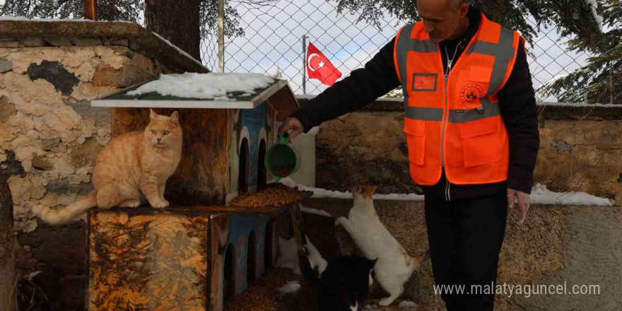 Elazığ’da sokak hayvanları için doğaya yem bırakıldı