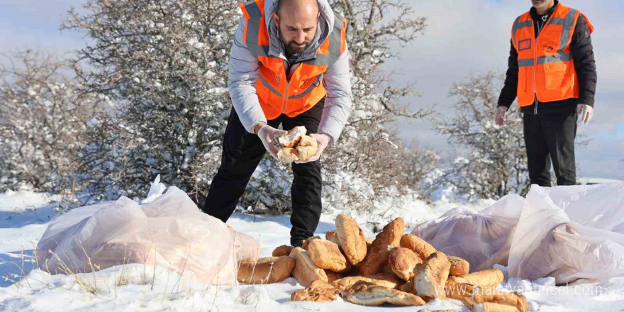 Elazığ’da sokak hayvanları için doğaya yem bırakıldı