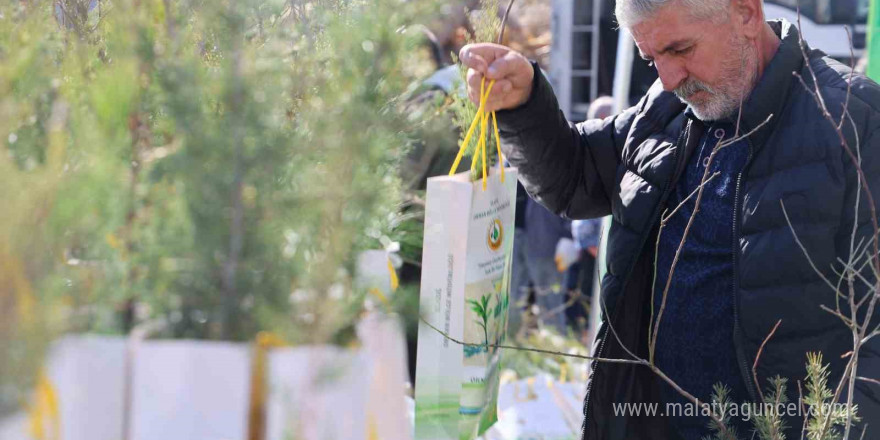 Elazığ’da vatandaşlara 23 bin adet ücretsiz fidan dağıtıldı