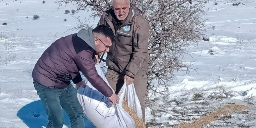 Elazığ’da yaban hayvanları için doğaya yem bırakıldı