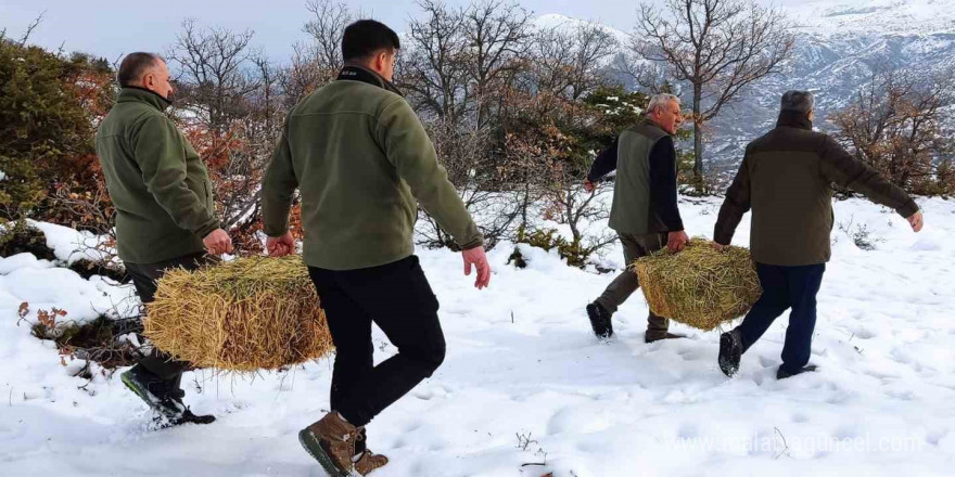 Elazığ’da yaban hayvanları için doğaya yem bırakıldı