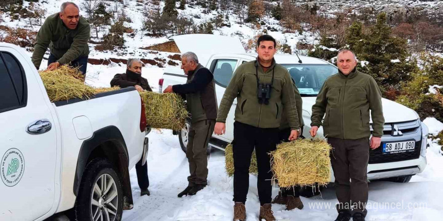 Elazığ’da yaban hayvanları için doğaya yem bırakıldı