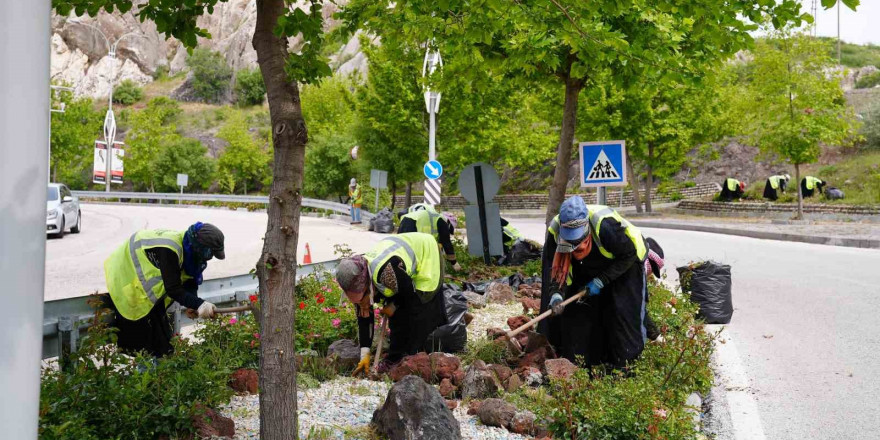 Elazığ’da yeşil alanlarda bahar temizliği