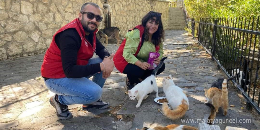 Elazığ’ın genç gönüllülerinden sokak hayvanlarına mama desteği