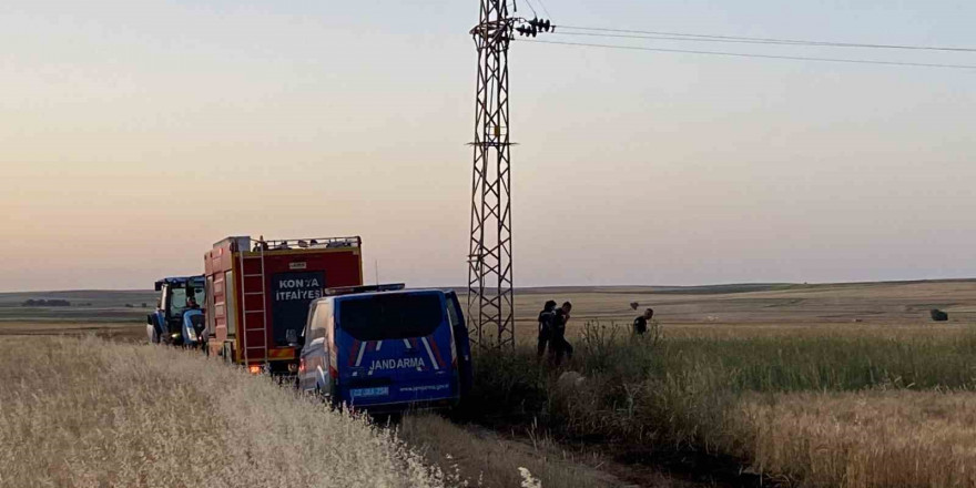 Elektrik akımına kapılan kuşlar yangına neden oldu