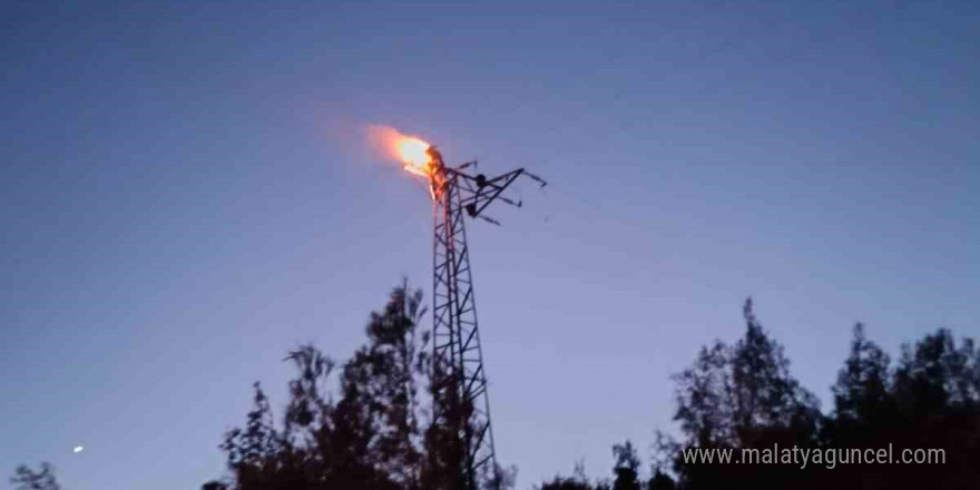 Elektrik direğinde akıma kapılan şahıs yanarak öldü