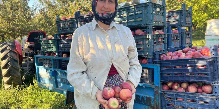 Elma verimi üreticinin yüzünü güldürdü