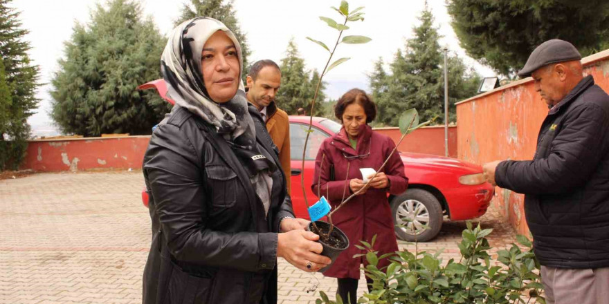 Elmalı’da bin 300 aronya fidanı dağıtıldı