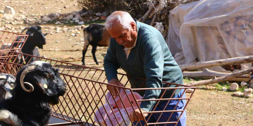 Elmalı’da Çoban Haritası Projesi tamamladı