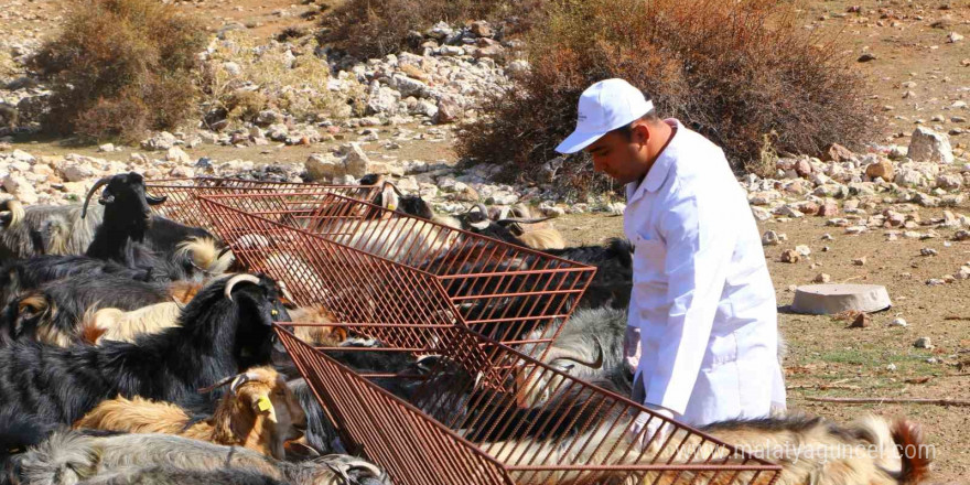 Elmalı’da Çoban Haritası Projesi tamamladı