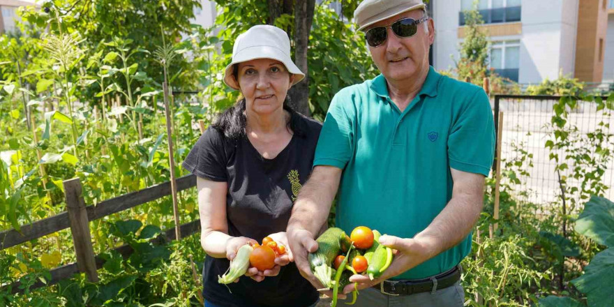 Emekli çifti Gönüllü Bahçesinde 26 çeşit ürün elde etti