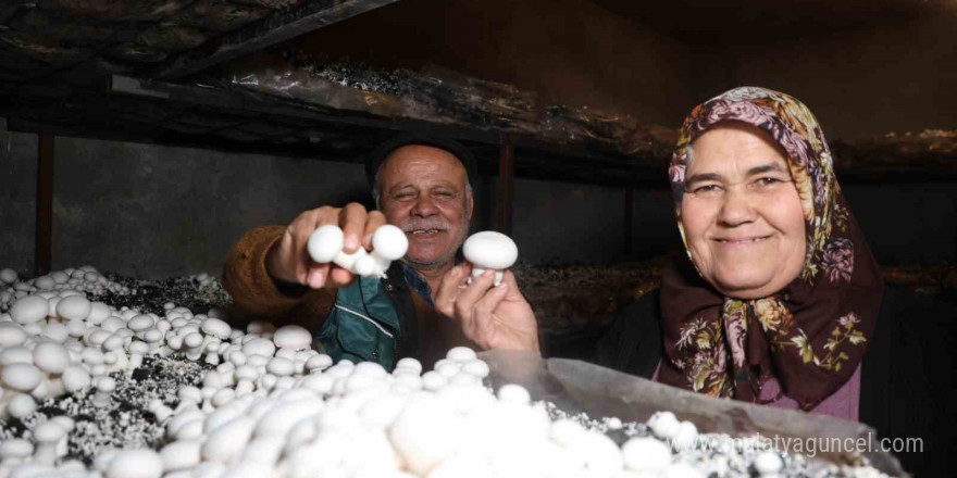 Emekli olunca hobisi ekmek teknesi oldu