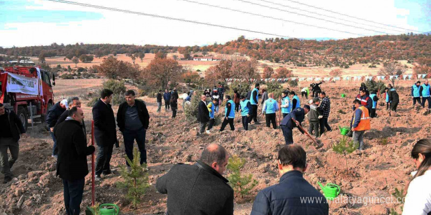 Emet’te 300 fidan toprakla buluştu