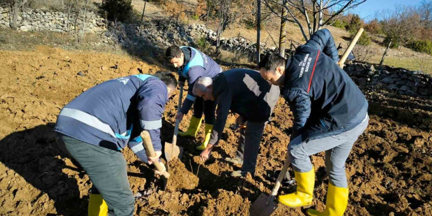 Emet’te ceviz fidanlarının dikimi ile demonstrasyon bahçesi kuruldu