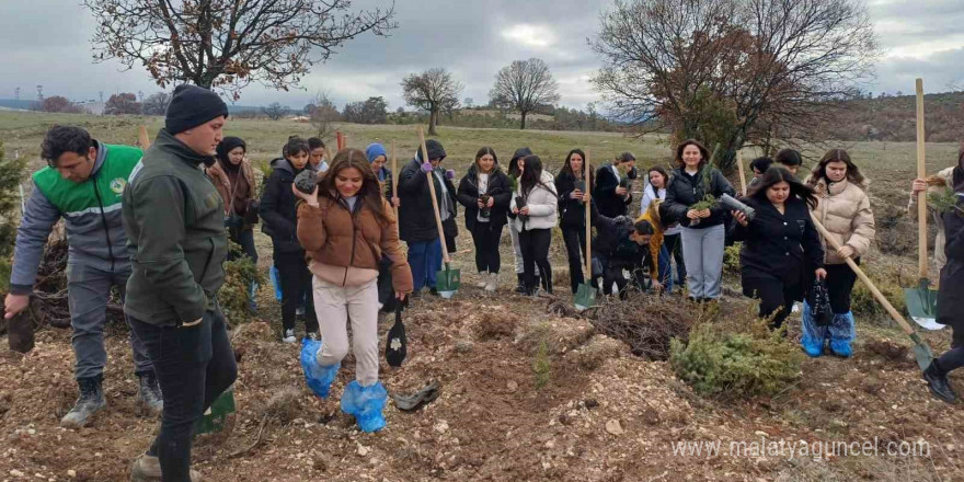 Emet’te fidan dikim etkinliği