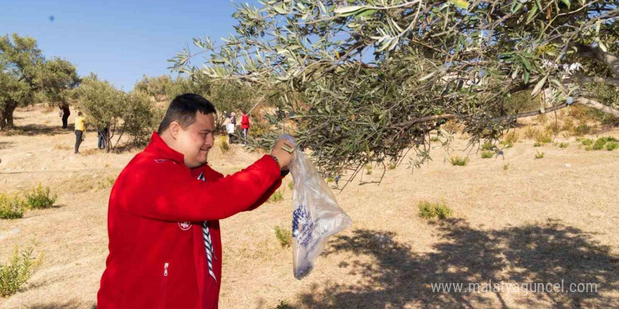 Engelli bireyler zeytin hasadı sayesinde sosyalleşti