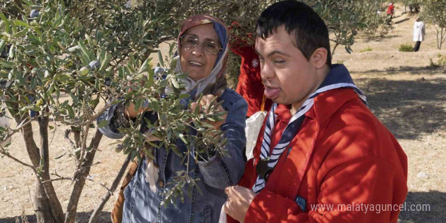 Engelli bireyler zeytin hasadı sayesinde sosyalleşti