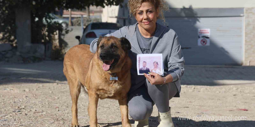 Enkazda sahibinin cansız bedenini bulmuştu, aileye hatıra kalan Max’a gözü gibi bakıyorlar