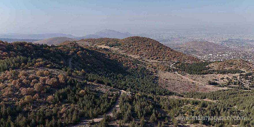 Erciyes’in eteklerinde renk cümbüşü