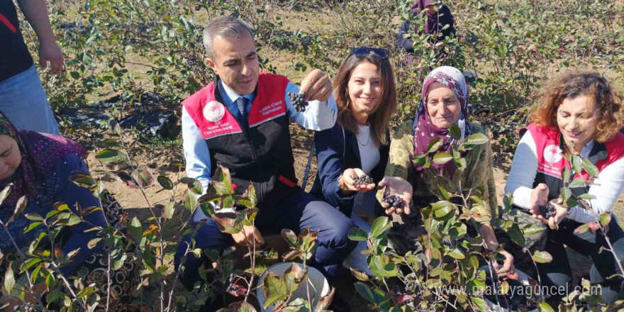 Erdek Kaymakamı Atasoy’dan Dünya Kadın Çiftçiler Günü Ziyareti