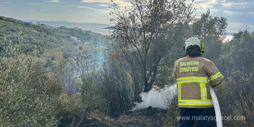 Erdek’te yangın: 10 dönümlük zeytinlik kül oldu