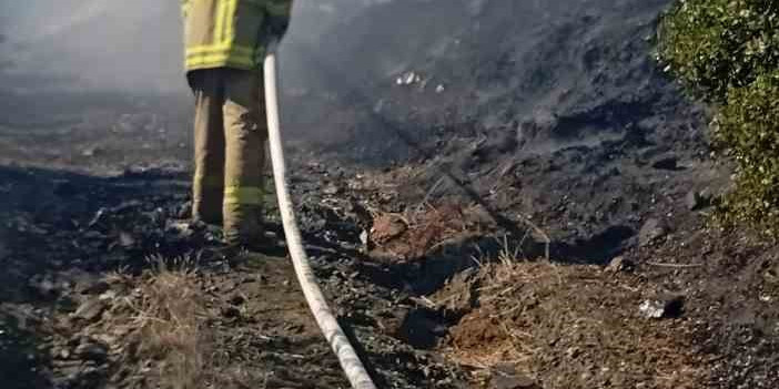 Erdek’te yangın: 10 dönümlük zeytinlik kül oldu