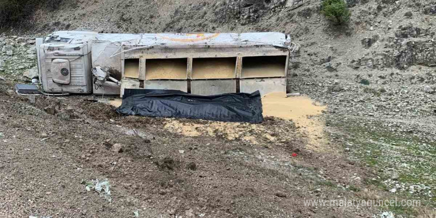 Erpiliç’in yem yüklü kamyonu devrildi: 1 yaralı