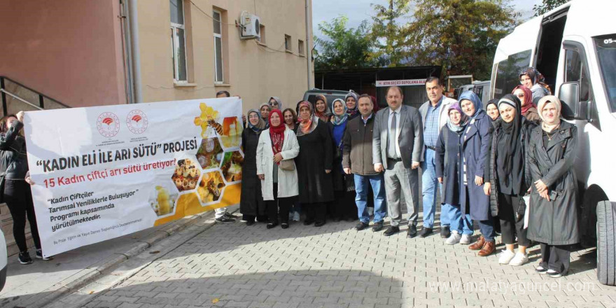 Erzincan 15 arı sütü üreticisini Ordu’ya gönderdi