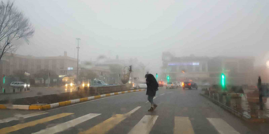 Erzincan güne sisle uyandı