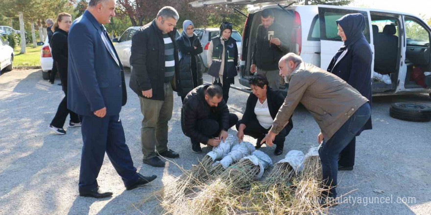 Erzincan’da goji berry yetiştiriciliği başladı