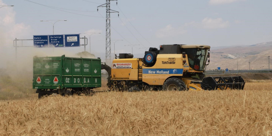 Erzincan’da hububat tarlalarında hasat başladı