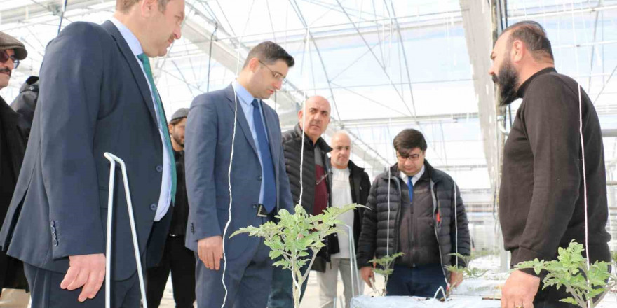 Erzincan’da jeotermal ısıtmalı topraksız serada ilk fideler dikildi