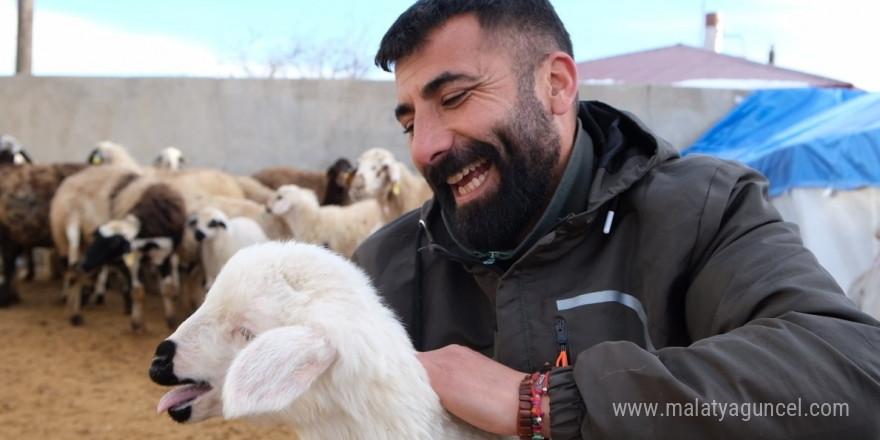 Erzincan’da yılın son kuzuları üreticilerin yüzünü güldürdü