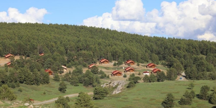 Erzincan’ın yeşil cenneti: Dumanlı Tabiat Parkı