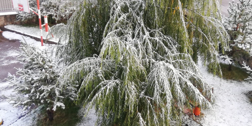 Erzurum kent merkezine mevsimin ilk karı yağdı