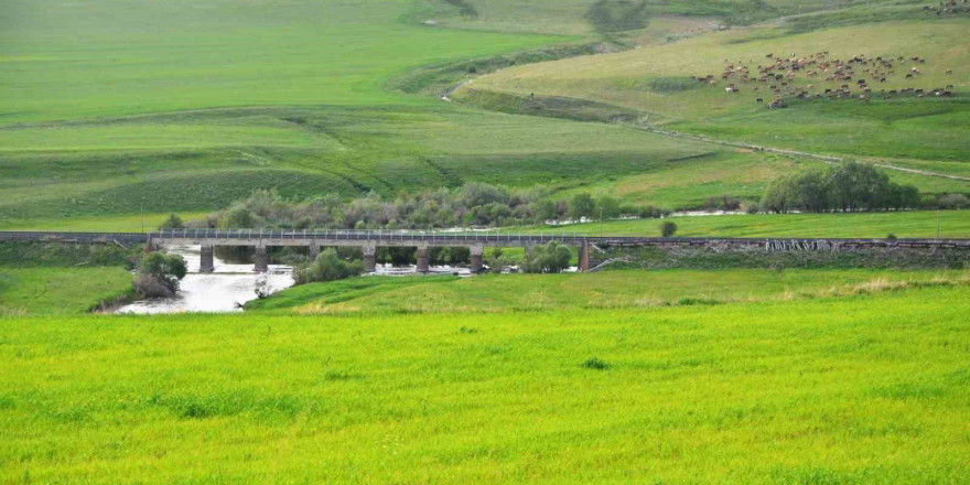 Erzurum mera ve çayır zengini