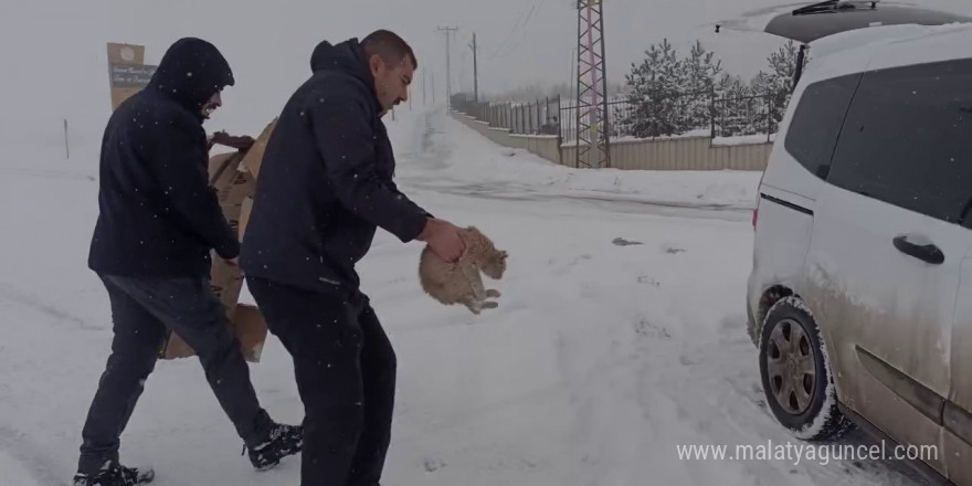 Erzurum polisinden yürekleri ısıtan hareketler