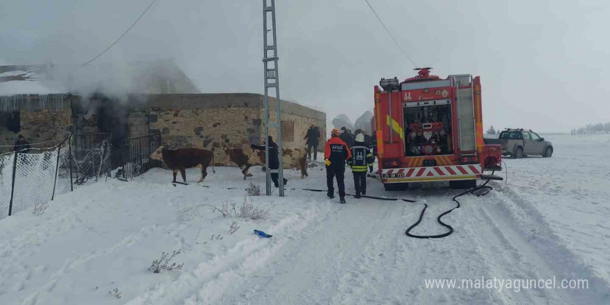 Erzurum’da ahır yangını